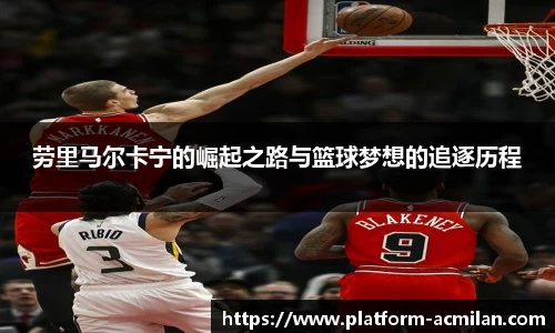 米兰体育下载