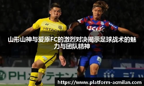 米兰体育官网