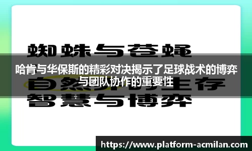 米兰体育