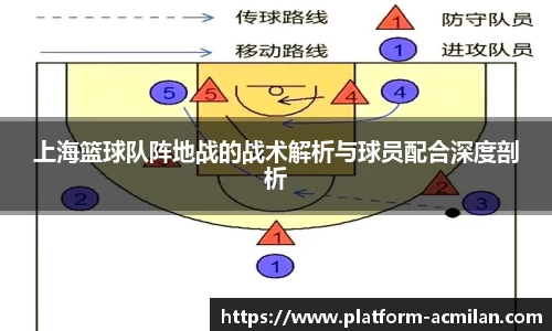 上海篮球队阵地战的战术解析与球员配合深度剖析